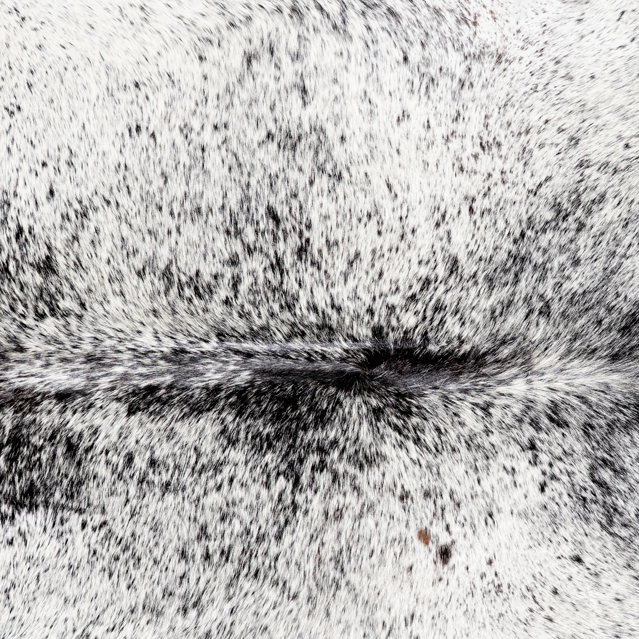 Brazilian Black Salt and Pepper Cowhide Rug Size 6'10" L x 6'4" W 5845 - Image 3