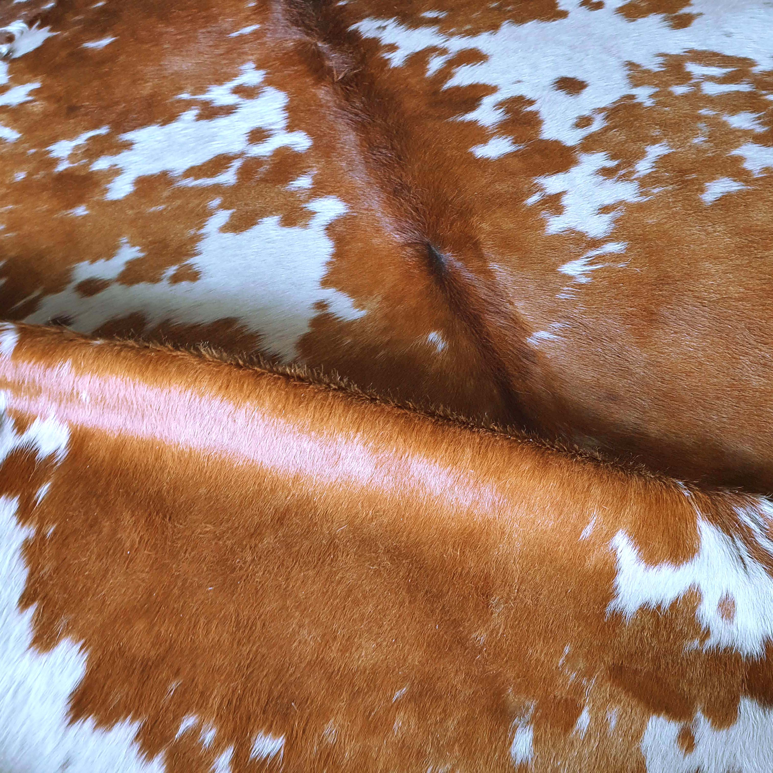 Brown and White Brazilian Cowhide Rug: XL - Image 6