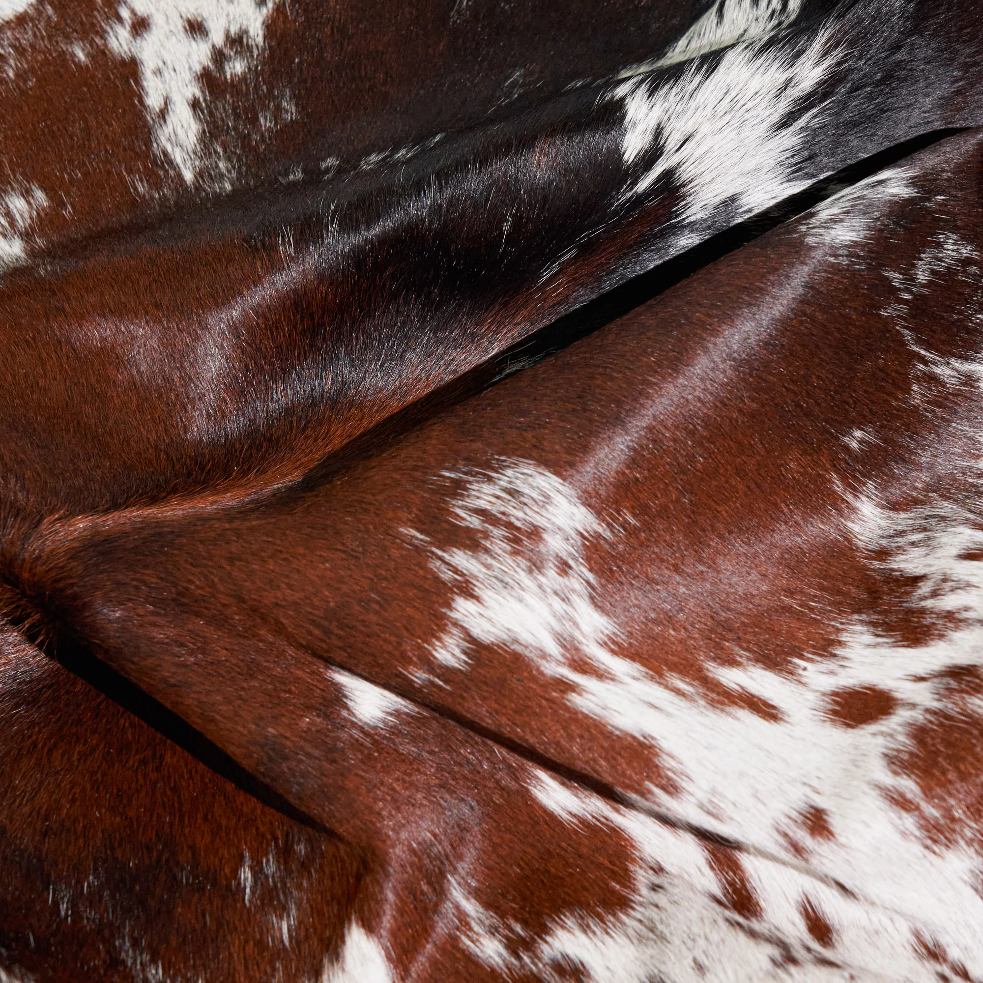 Chocolate and White Brazilian Cowhide Rug: LARGE - Image 5
