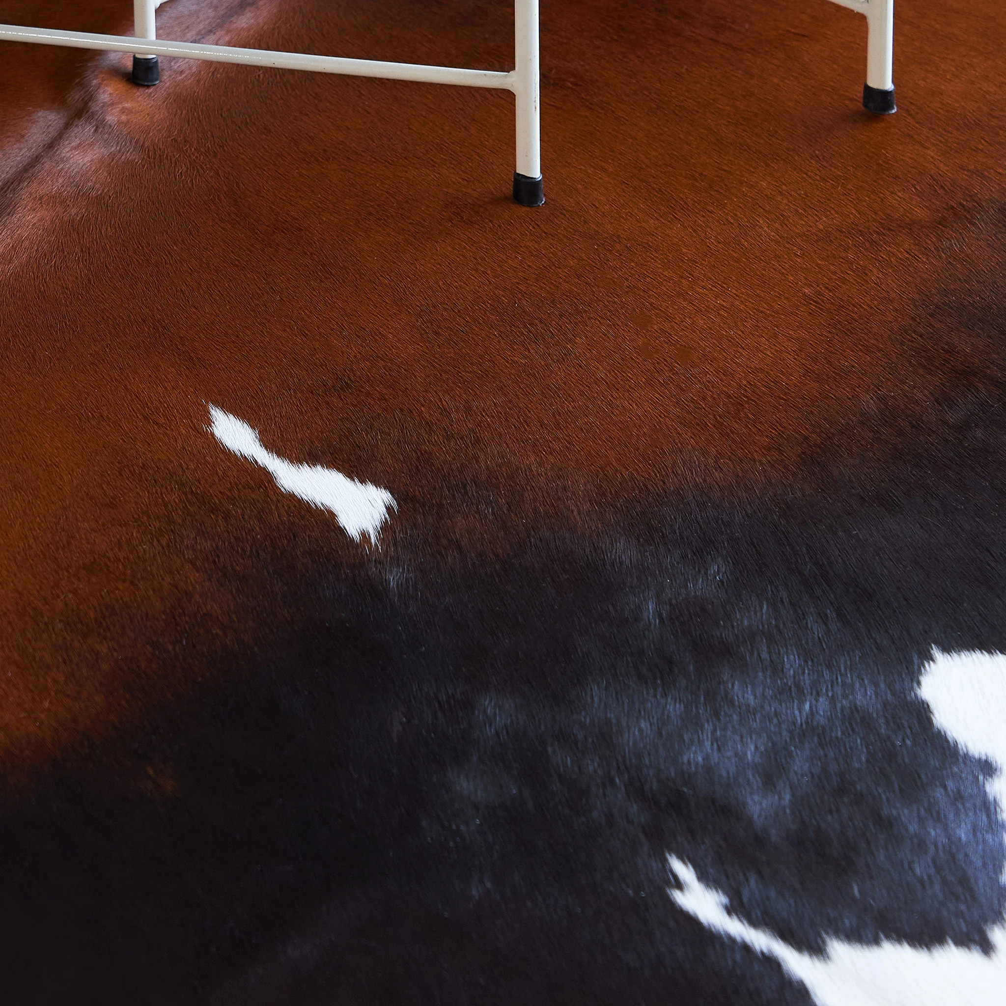 Chocolate and White Brazilian Cowhide Rug: XL - Image 8