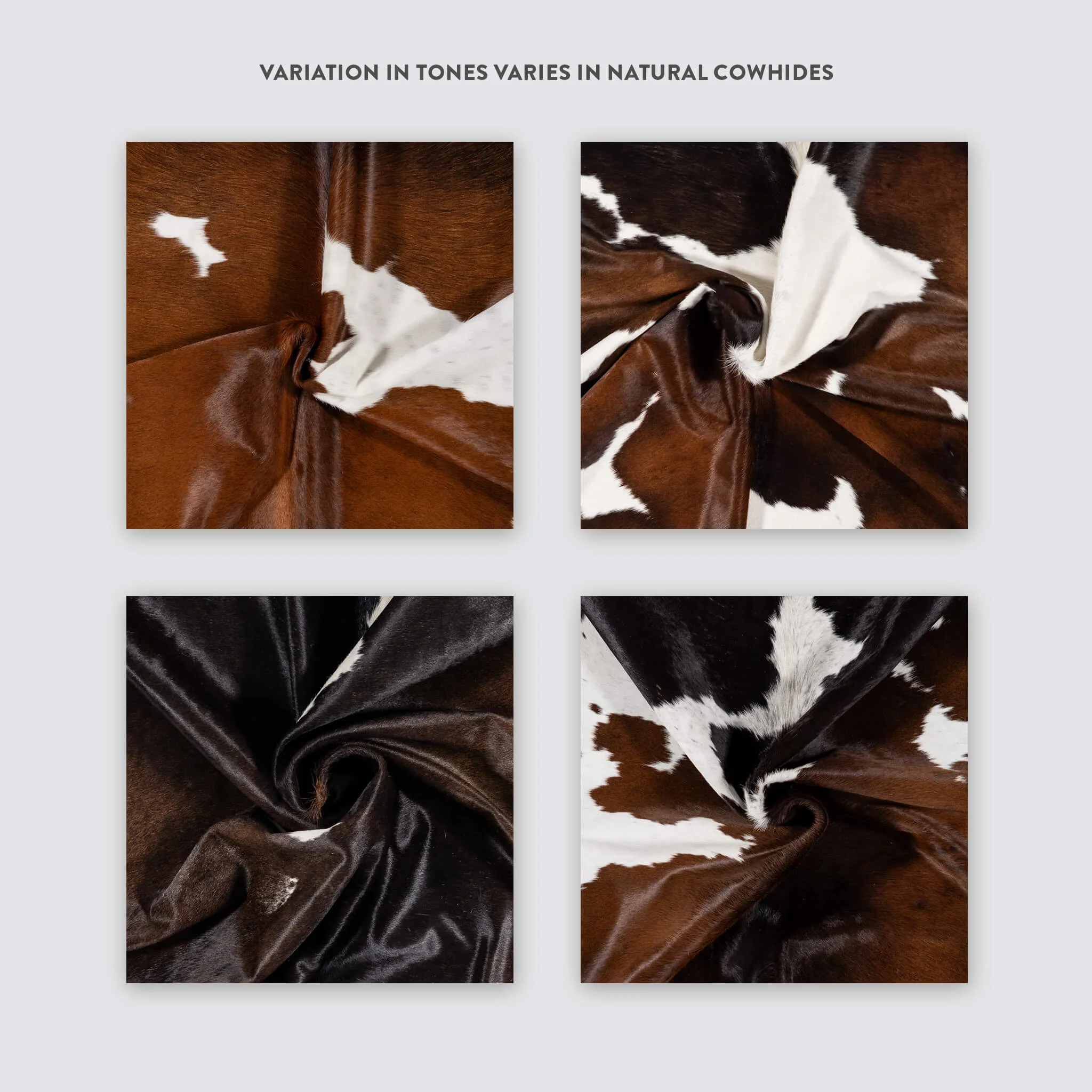 Chocolate and White Brazilian Cowhide Rug: LARGE - Image 7