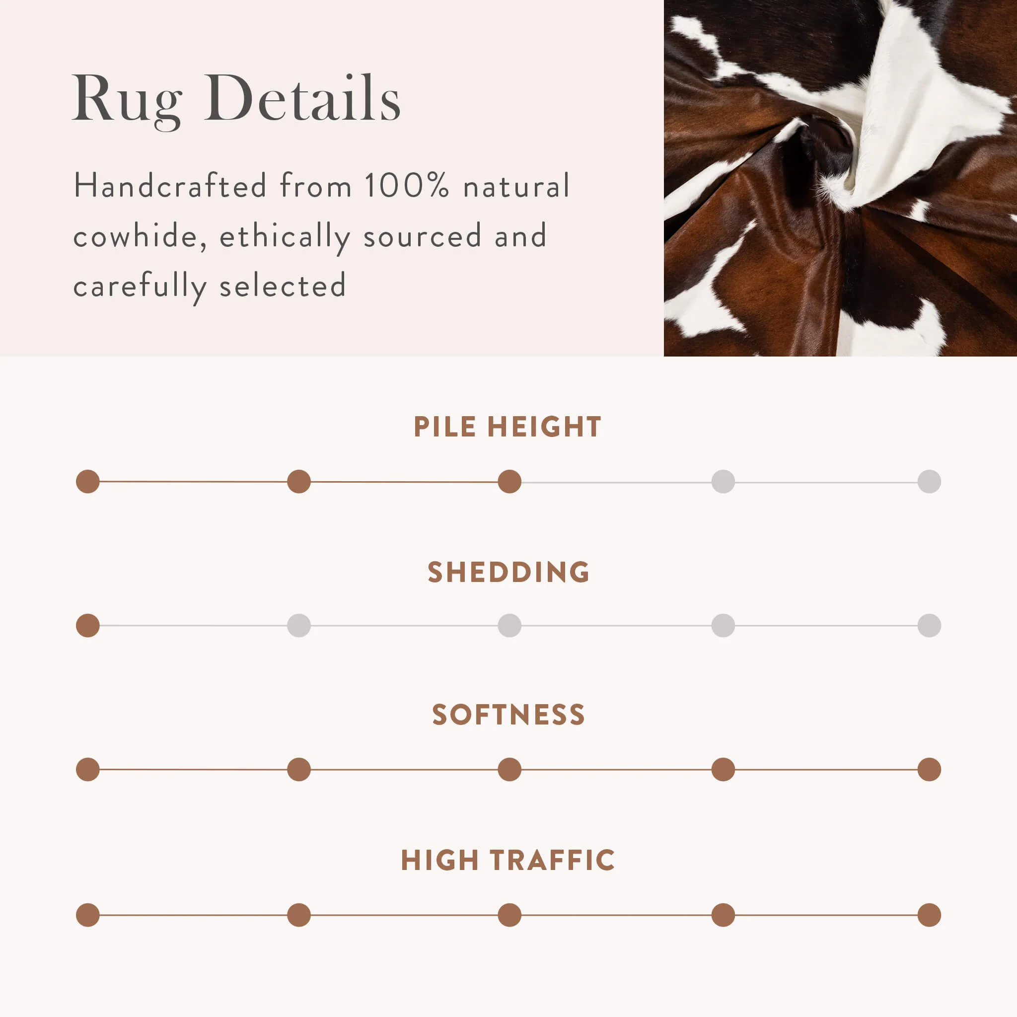 Chocolate and White Brazilian Cowhide Rug: LARGE - Image 6