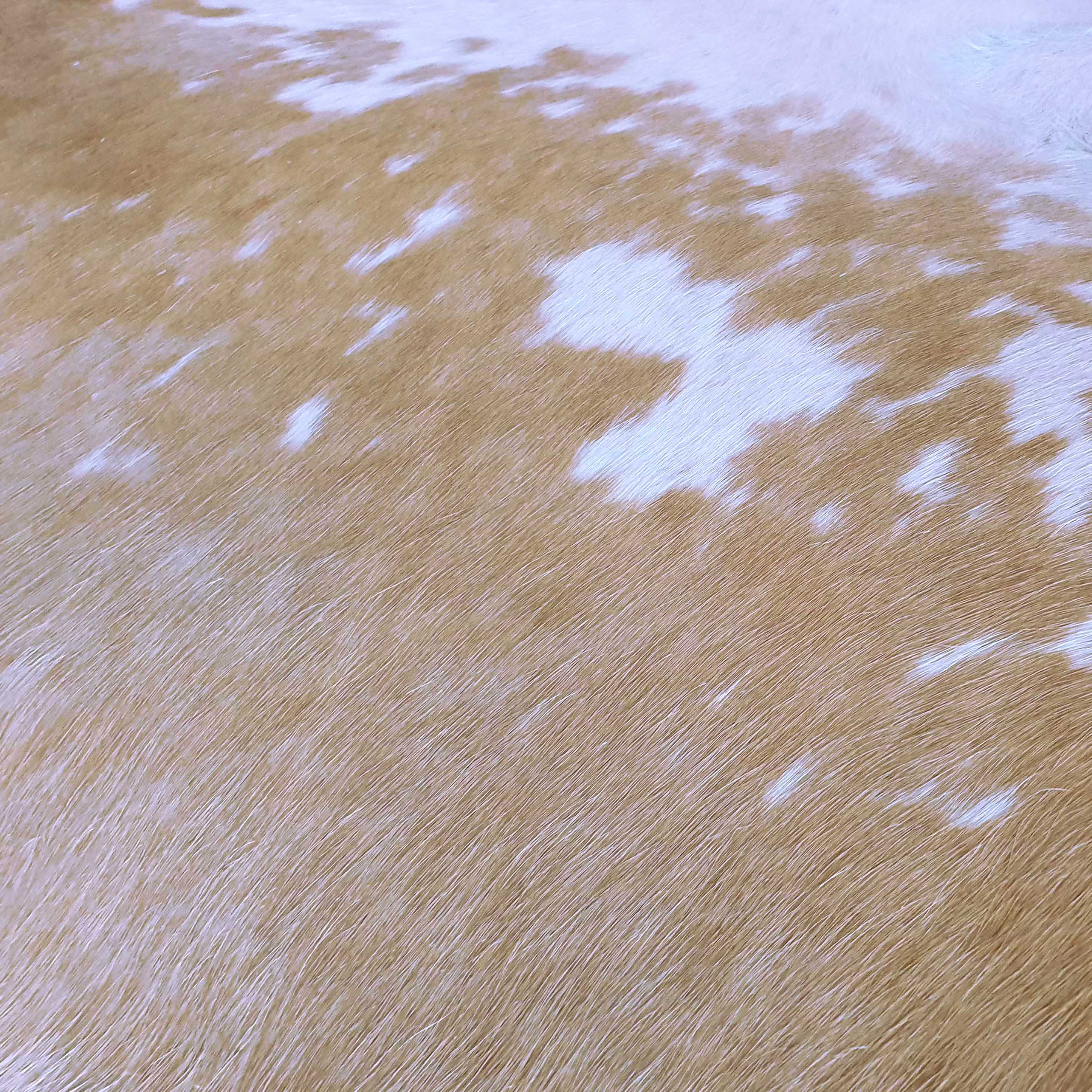 Palomino and White Brazilian Cowhide Rug: XXL - Image 6
